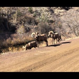 Meet your Posher, Jean